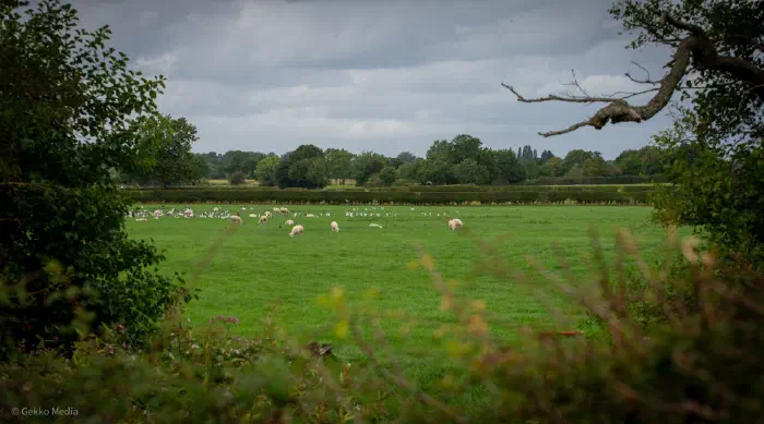 Macclesfield MP 'deeply sceptical' about Adlington Park proposals