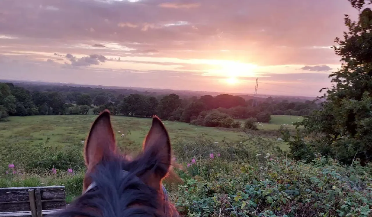 Horse looking at sunset over Adlington from Middlewood Way