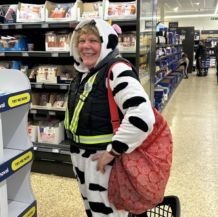 Cow in Aldi!