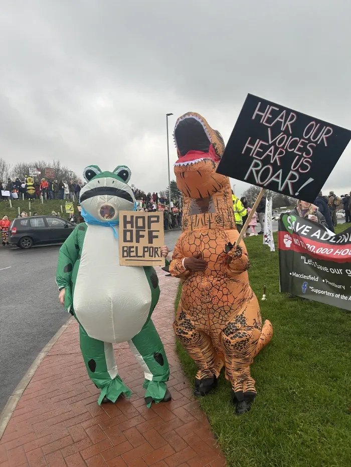 Frog and Dinosaur opposing Adlington New Town