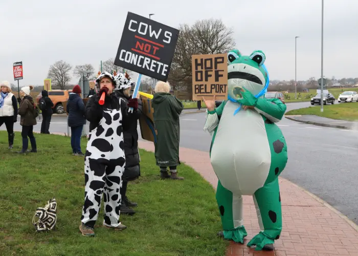 Frog and cow opposing Adlington New Town