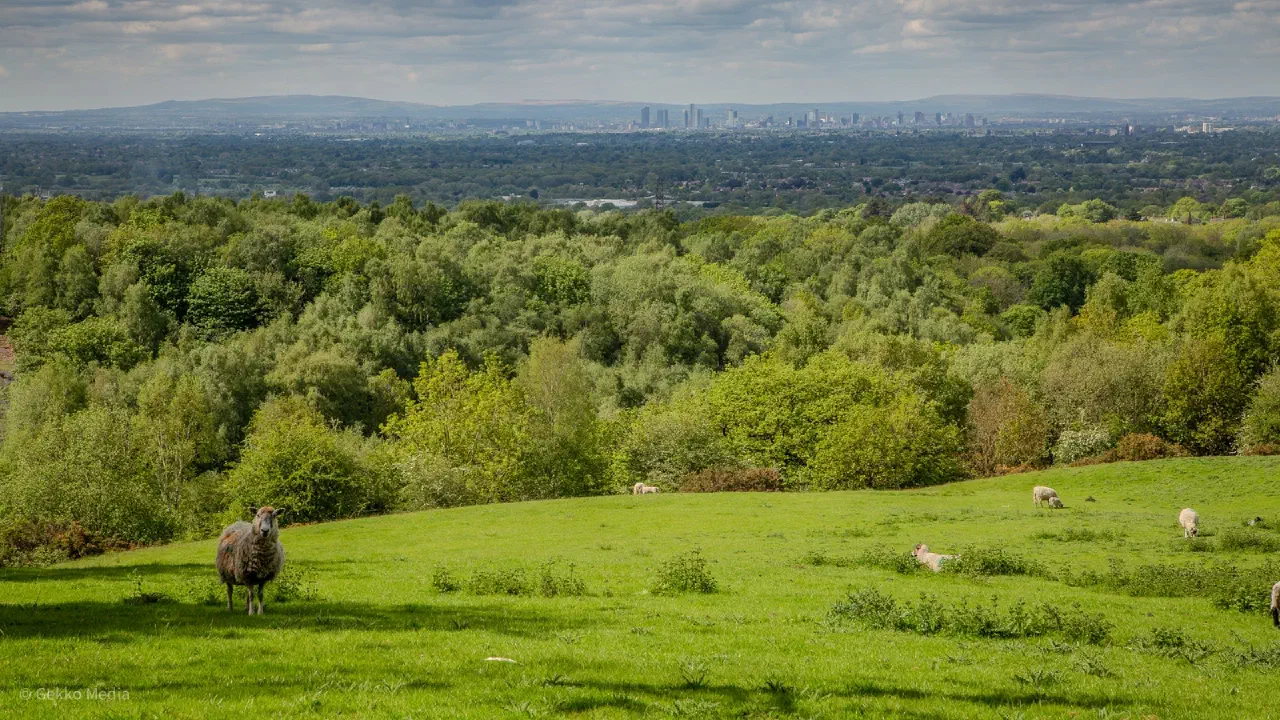 Cheshire East Local Plan Consultation