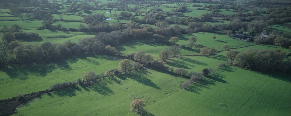 1000s of mature deciduous trees in Adlington