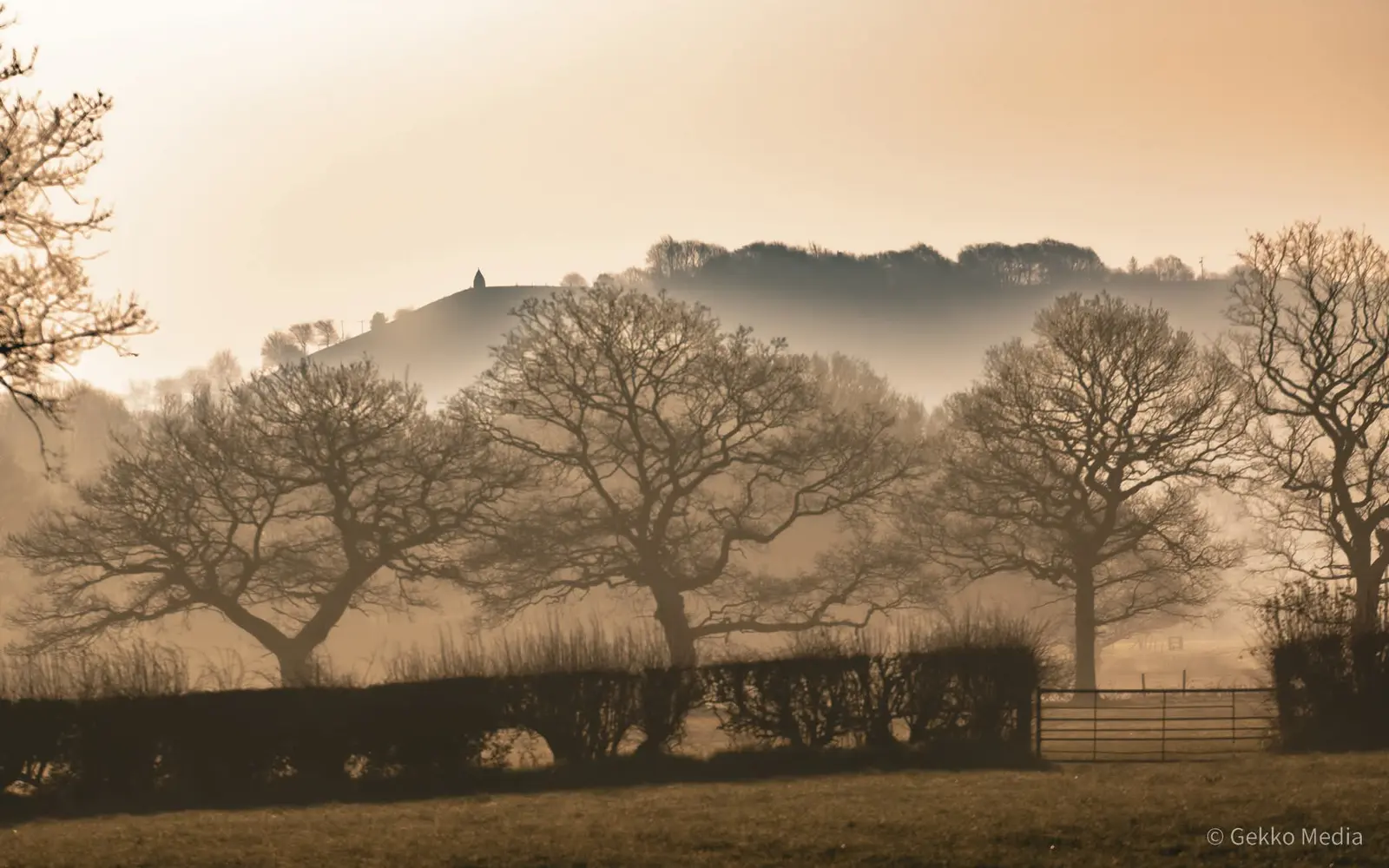 Photo of trees in mist with White Nancy