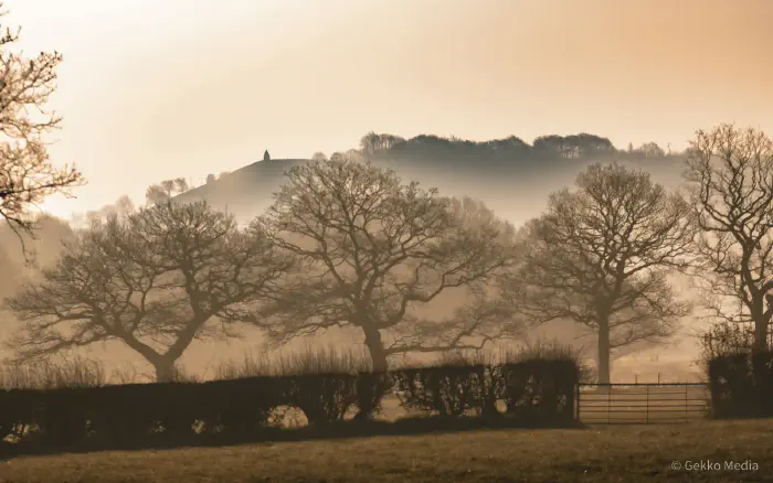 Photo of trees in mist with White Nancy