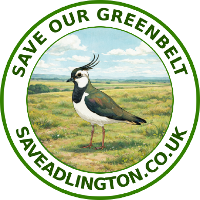 Download Lapwing