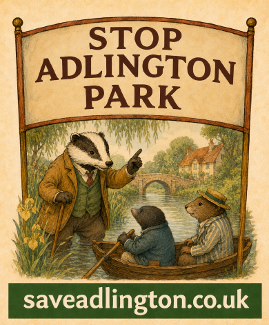 Download Wind in the willows
