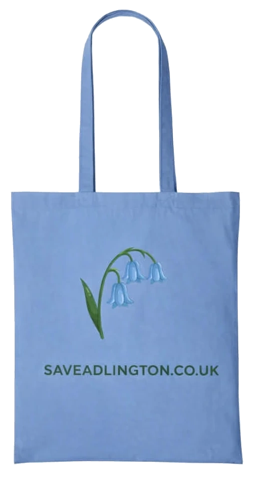 Blue bag featuring bluebells. Caption Protect our Nature